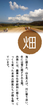<img src=