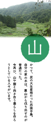 山:かつて、炭の大生産地だった丹後半島。自分の家の木は、裏山から伐り出すのが普通だった。今再び、山や樹と向き合う暮らしを作ろうとしている人々がいます。