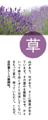 草:山があり、川があり、そこに野草が生きています。その恵みを無駄にせず、かといって採り尽くすことは決してしない。まもって育み、採っていただく。これぞ、自然暮らしの醍醐味。