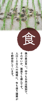 食:後の食は旨い。中でもお米は格別で、そのせいか、酒造りも盛んです。人口10万人の地域に、今も造り酒屋が6軒存在しています。